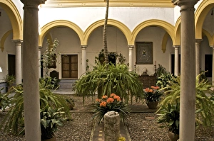 Alcazar Prints: A patio in the Alcazar, Seville, Andalusia, Spain, Europe