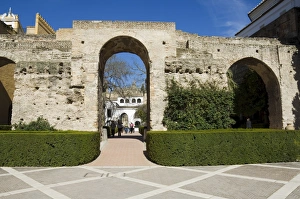 Santa Cruz Prints: Patio de la Monteria