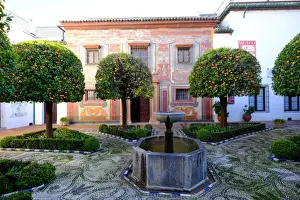 Patio Prints: Patio of the Museo de Bellas Artes and Museo Julio Romero de Torres, Cordoba, Andalucia