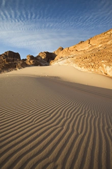 Ripple Prints: Pattern of sun on sand dune in Sinai, Egypt, North Africa, Africa
