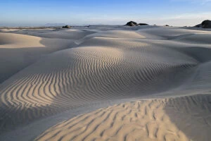 Rippled Gallery: Patterns in the dunes at Sand Dollar Beach, Magdalena Island, Baja California Sur