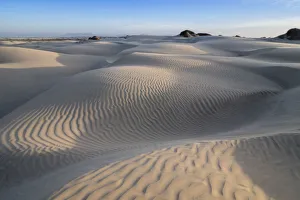 Rippled Gallery: Patterns in the dunes at Sand Dollar Beach, Magdalena Island, Baja California Sur