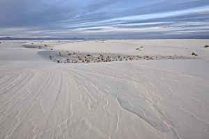 Arid Landscapes Prints: Patterns in the dunes, White Sands National Monument