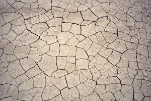 Abstract: Patterns in mud cracks in drought area