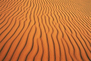 Abstract: Patterns in sand dunes in Erg Chebbi sand sea