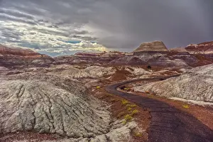 Hike Prints: Paved trail leads through Blue Mesa area during rain in Petrified Forest National Park