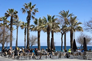 Stereotypically Spain Prints: Pavement cafe and coffee bar under palm trees