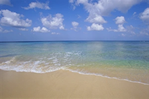 Barbadian Prints: Paynes Bay, Barbados, Caribbean, West Indies, Central America