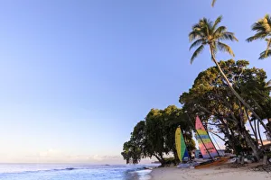 Barbados Prints: Paynes Bay, colourful sail boats on pink sand beach, sunrise, palm trees