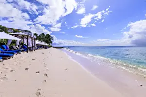 Barbados Prints: Paynes Bay, luxury sun loungers and cabanas on fine pale pink sand beach