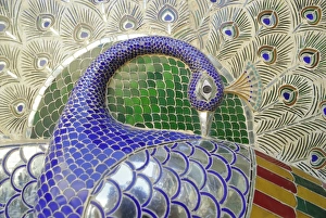 Images Dated 1st August 2008: Peacock sculpture