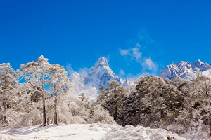 Winter Scene Prints: Peak of Mount Everest with snow covered forest, Himalayas, Nepal, Asia