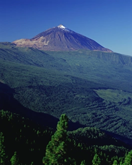 Canary Island Prints: Peak of Mount Teide and pine trees from Mirador Ortuno