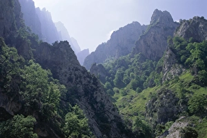 Ravine Prints: Peaks and high valleys on the side of the Cares Gorge