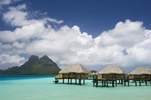Stilt Prints: Pearl Beach Resort