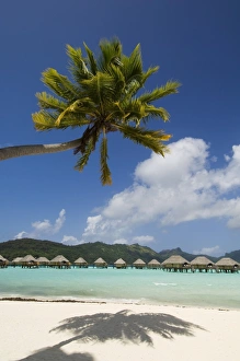 Pearl Beach Resort