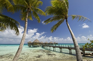 Pearl Beach Resort