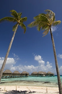 Pearl Beach Resort