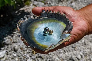 Human Hand Prints: Pearl in a shell with Mother of Pearl