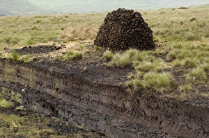 Stack Prints: Peat cutting