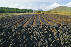 Turf Prints: Peat farming or cutting