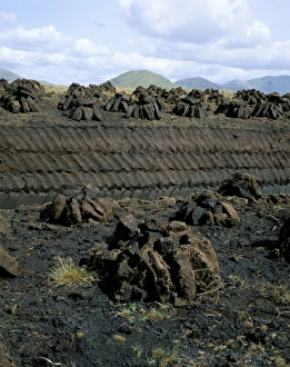 Peat Prints: Peat stacks