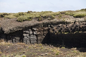 Images Dated 3rd March 2009: Peat used for fires, Port Stanley, Falkland Islands, South America