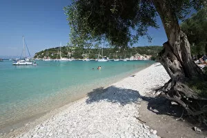 Lifestyle Gallery: Pebble beach and bay with olive tree, Lakka, Paxos, Ionian Islands, Greek Islands