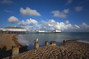 Pebble Beach Prints: Pebble beach and pier, Eastbourne, East Sussex, England