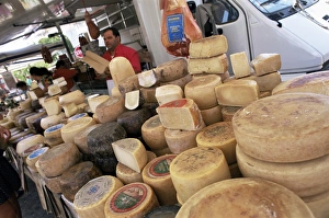 Pecorino cheese in the market
