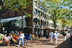 Sightseer Prints: Pedestrian precinct near Faneuil Hall