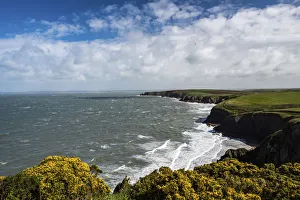 Pembrokeshire Coast National Park, seen near Marloes and St