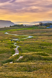 Pen-y-ghent one of the Yorkshire Three Peaks, Ribble Valley, Yorkshire Dales National Park, North Yorkshire, England, UK