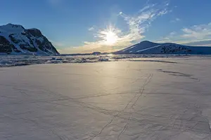 Track Prints: Penguin tracks left on first year sea ice in the Lemaire Channel
