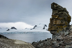 Penguins below dramatic rock formations, Half Moon Bay, South Sheltand Islands, Antarctica