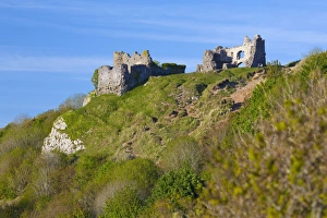 Gower Prints: Penmaen Castle, Gower, Wales, United Kingdom, Europe