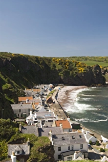 Images Dated 11th May 2009: Pennan, Highlands, Scotland, United Kingdom, Europe