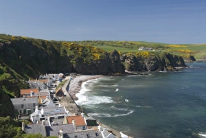 Images Dated 11th May 2009: Pennan, Highlands, Scotland, United Kingdom, Europe