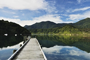 Marlborough Prints: Penzance Bay, Tennyson Inlet, Marlborough Sounds, Marlborough, South Island