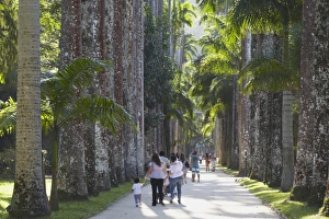 Botanical Gardens Prints: People at Botanical Gardens (Jardim Botanico), Rio de Janeiro, Brazil, South America