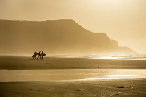 Males Prints: People carrying surfboards walking along beach in the evening sunlight, Rhossili
