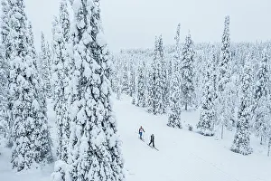 2 People Prints: Two people cross country skiing in the snowy forest, aerial view, Lapland, Finland, Europe