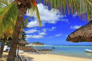 Enjoyment Prints: People enjoy a sunny day on the beach with palm trees and blue sky in Mauritius near Flic en Flac