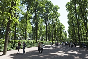 St Petersburg Prints: People enjoying the Summer Garden, St. Petersburg, Russia, Europe