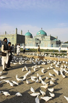 People feeding the famous white pigeons, Shrine of Hazrat Ali, Mazar-I-Sharif