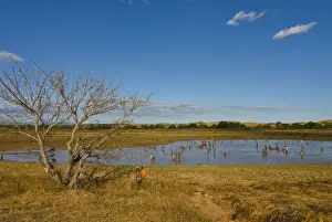 People fishing in a shallow lake near Diego Suarez (Antsiranana), Madagascar, Africa