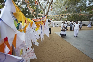 3rd Century Bc Prints: People praying at Sri Maha Bodhi (sacred bodhi tree)