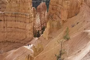 Images Dated 21st November 2007: People on trail, Bryce Canyon National Park, Utah, United States of America