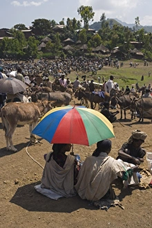 Shades Prints: People walk for days to trade in this famous weekly market, Saturday market in Lalibela