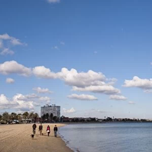 Images Dated 26th June 2009: People walking their dogs, St. Kilda Beach, Melbourne, Victoria, Australia, Pacific